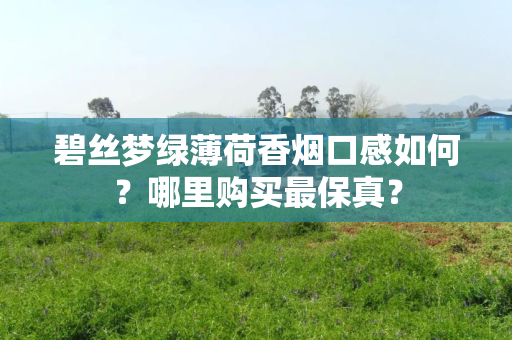 碧丝梦绿薄荷香烟口感如何？哪里购买最保真？